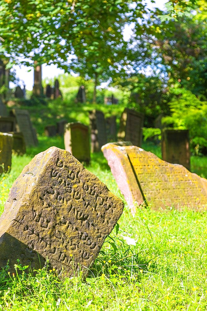 Worms, Holy Sand Jewish Cemetery, tombstones from the 11th to 13th centuries