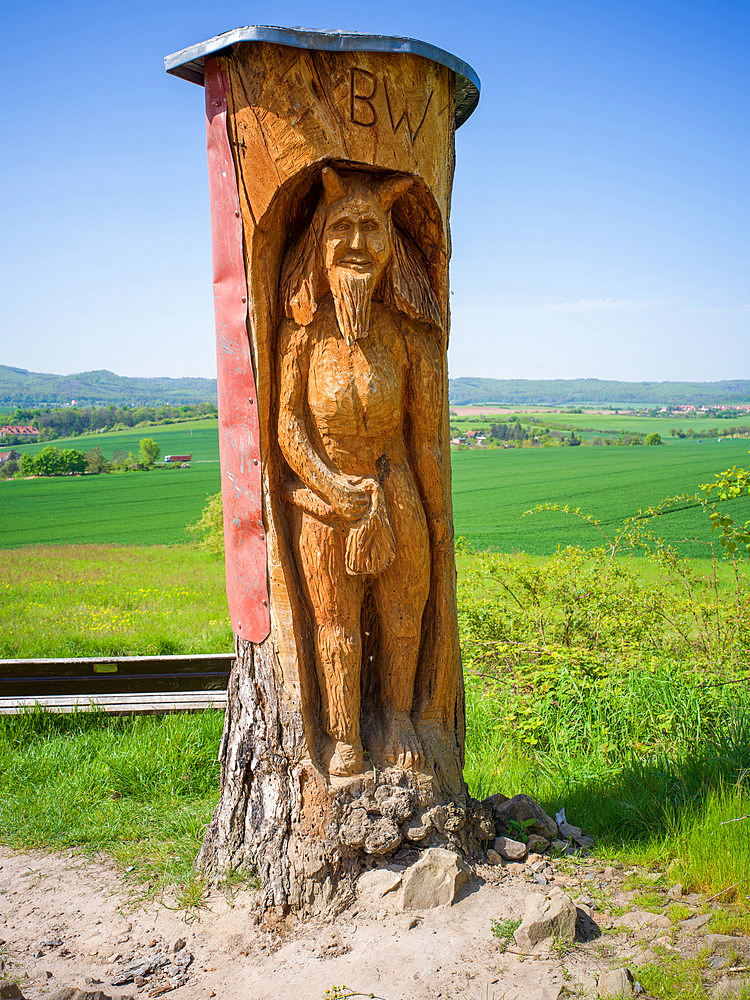 Carved devil on the Hamburg coat of arms - part of the Devil's Wall between Blankenburg and Timmenrode in the Harz Mountains, Harz, Harz district, Saxony-Anhalt, Germany, Europe