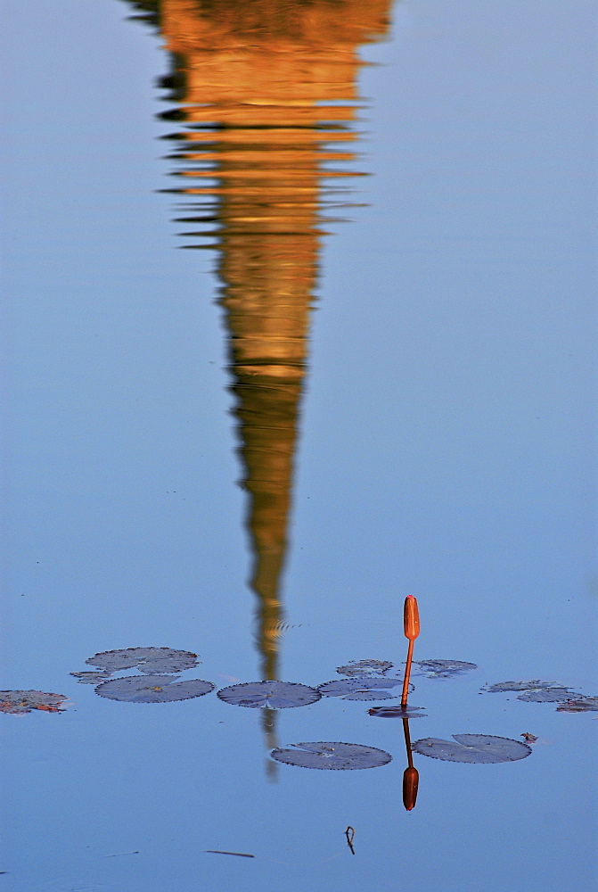 Lotus and Wat Sa Si reflecting in a pond, Sukothai Historical Park, Central Thailand, Asia