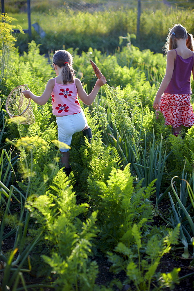 Two girls (6-9 years) in vegetable patch, Lower Saxony, Germany