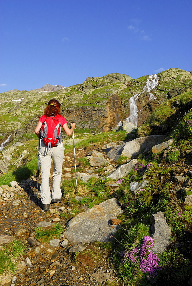 Woman hiking, waterfall in background, Stubai Alps, Trentino-Alto Adige/South Tyrol, Italy