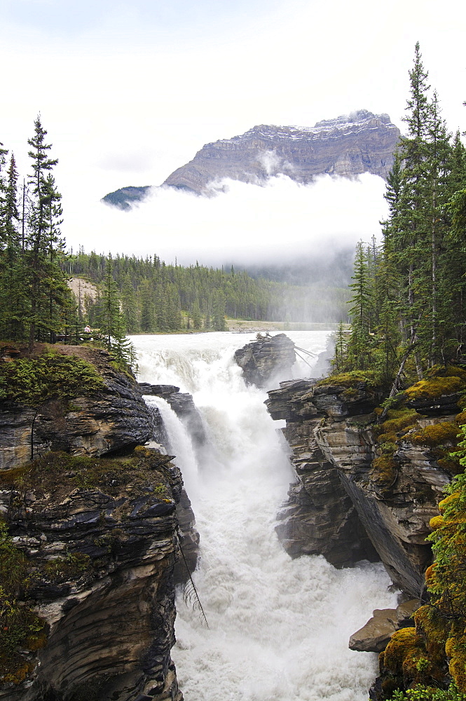 Cascade, Mistaya Canyon, Jasper National Park, Alberta, Canada