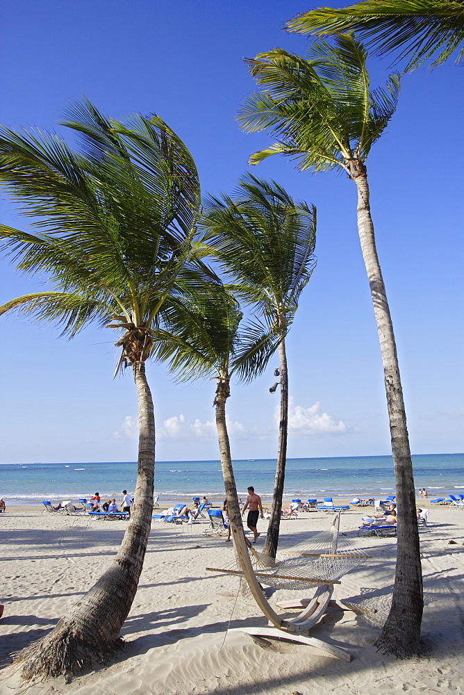 People and palm trees at the beach under blue sky, Isla Verde, Puerto Rico, Carribean, America