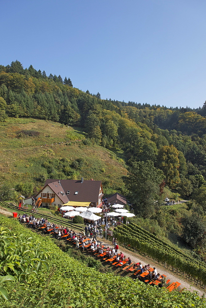 Restaurant in a vineyard, Oberkirch, Baden-Wurttemberg, Germany