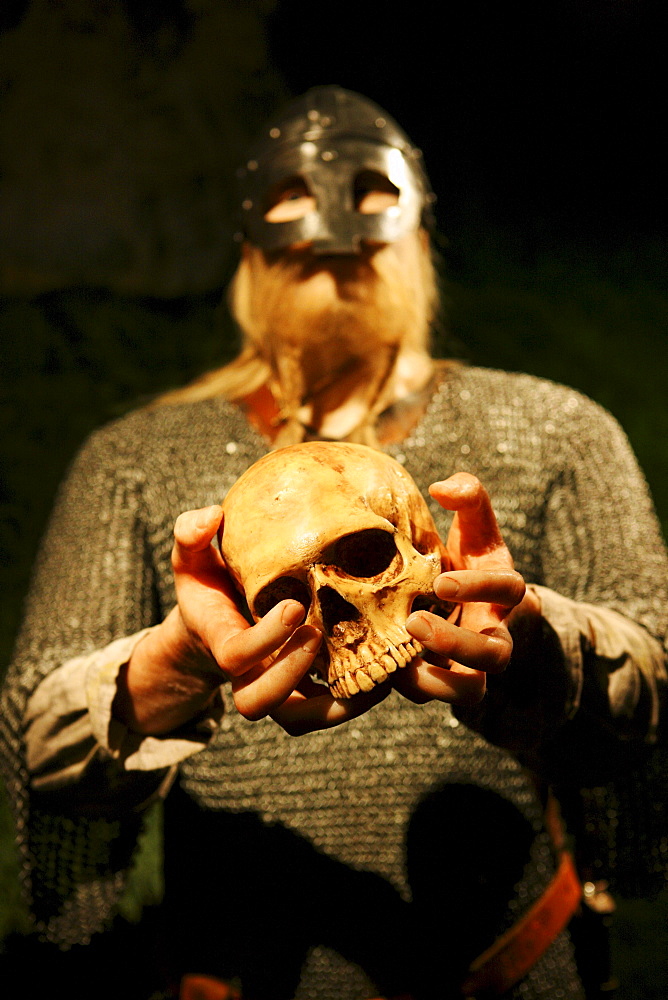 Wax figure of a viking holding a skull in his hands, museum of vikings, Haugesund, Rogaland, Norway, Scandinavia, Europe