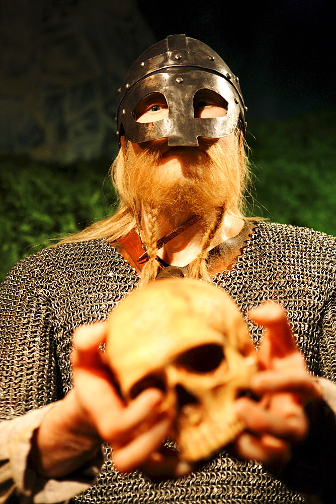 Wax figure of a viking holding a skull in his hands, museum of vikings, Haugesund, Rogaland, Norway, Scandinavia, Europe