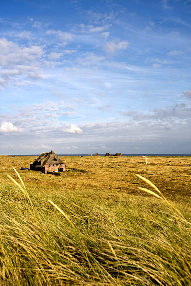 Thatched House, Ellenbogen, Sylt Island, North Frisian Islands, Schleswig-Holstein, Germany