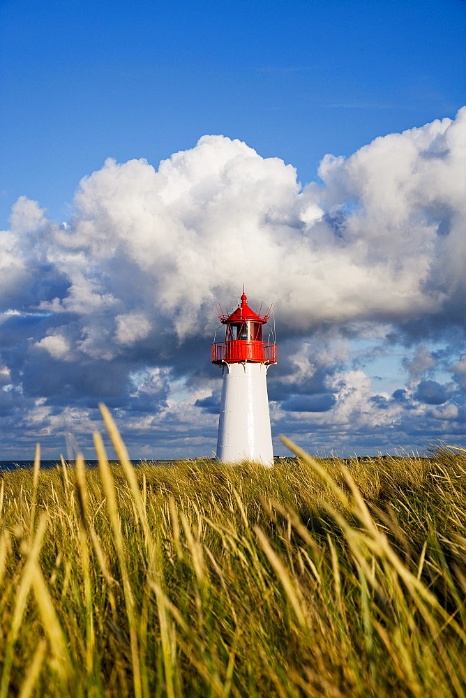 Lighthouse List-West, Ellenbogen, Sylt Island, North Frisian Islands, Schleswig-Holstein, Germany