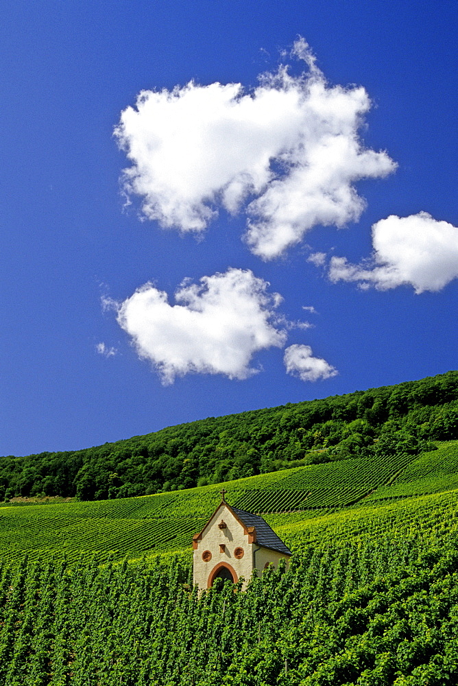 Chapel in the vineyards under white clouds, Rhineland-Palatinate, Germany