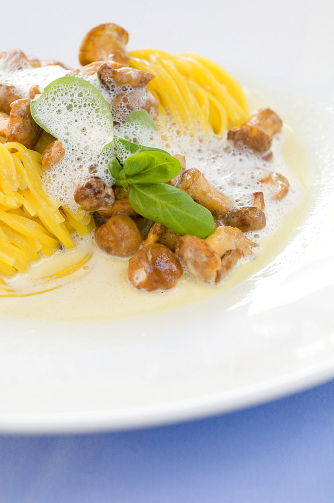 Pasta with mushrooms, Restaurant Guth, Lauterach, Lake Constance, Austria