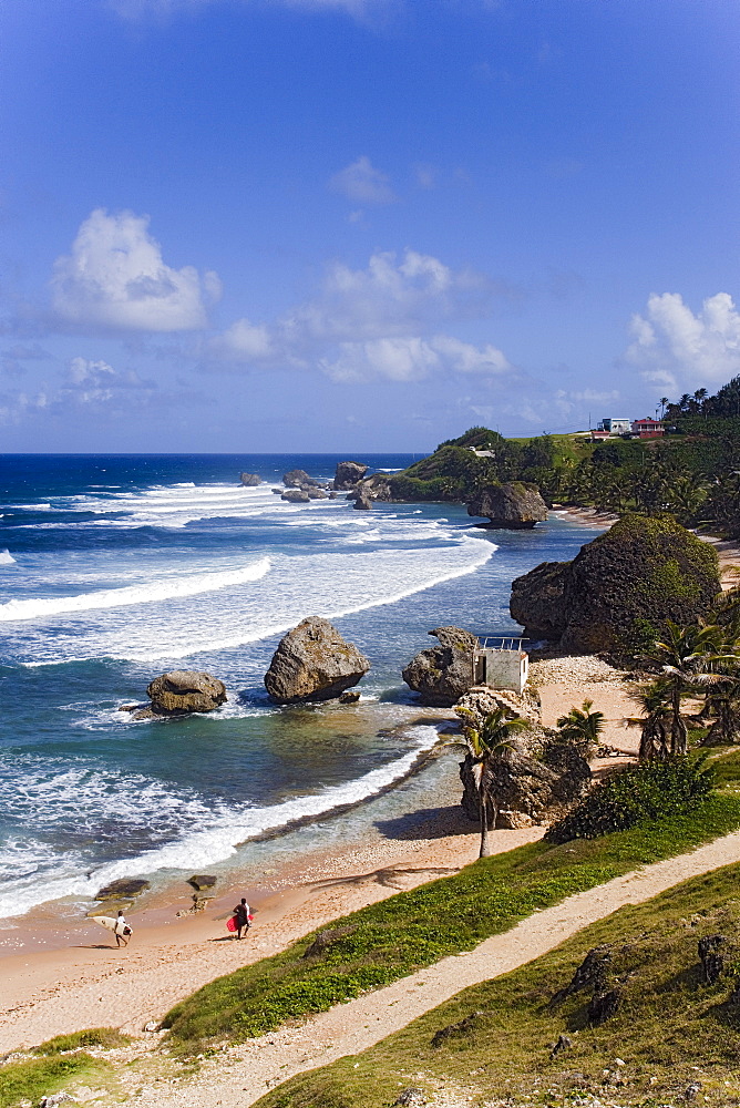 Coast-line, Bathsheba, Barbados, Caribbean