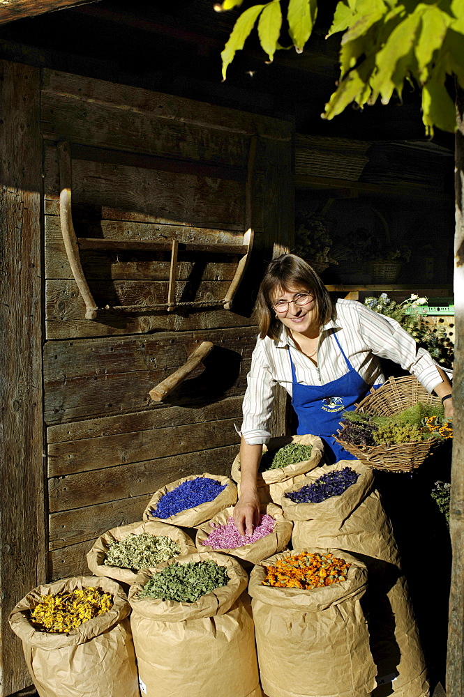 A smiling woman and sacks of medicinal herbs in front of an alpine hut in the sunlight, Siusi, Valle Isarco, South Tyrol, Italy, Europe