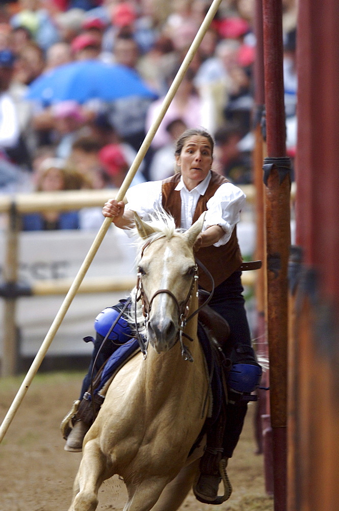 Tournament, Slalom, Oswald von Wolkenstein Ritt, Event 2005, Proesels castle, Voels am Schlern, South Tyrol, Italy