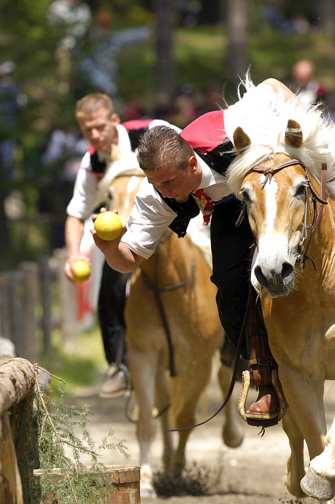 Tournament, Oswald von Wolkenstein Ritt, Event 2005, Voelser Weiher, Voels am Schlern, South Tyrol, Italy