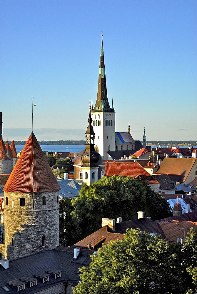 View from the cathedral hill, Toompea, towards the lower old town with city walls and St. Olafs church, Tallinn, Estonia