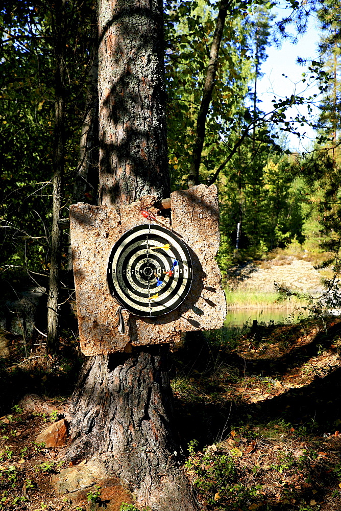 Dartboard on a tree, Saimaa Lake District, Finland, Europe