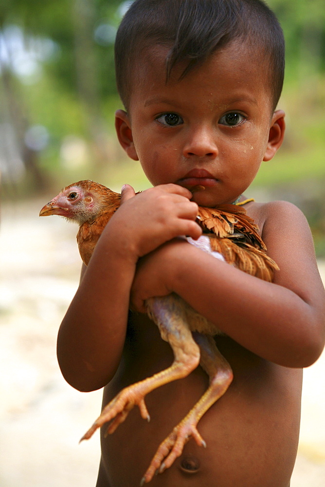 Sea gypsy, Moken boy carrying a chicken, Mergui Archipelago, Andaman Sea, Myanmar, Burma, Asia