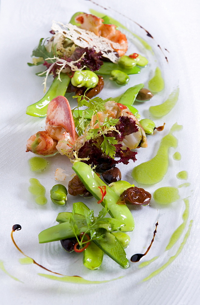 Lobster salad with sugar snaps in restaurant Tilia, Chef Chris Oberhammer, Vintl South Tyrol, Italy