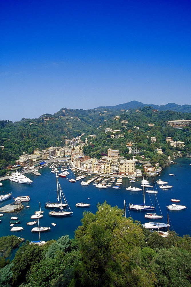 View at the marina under blue sky, Portofino, Liguria, Italian Riviera, Italy, Europe