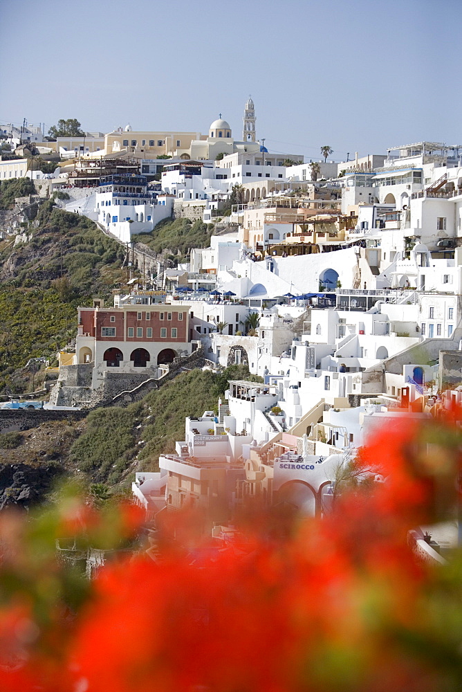 Houses at a mountainside in the sunlight, Fira, Santorini, Greece, Europe