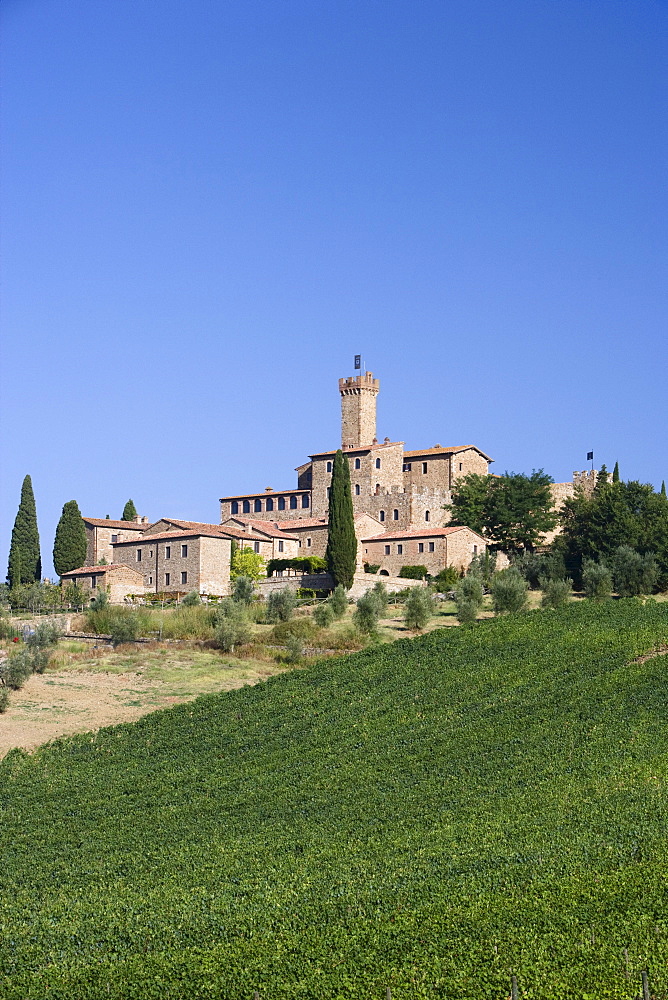 Castello Banfi, near Montalcino, Tuscany, Italy