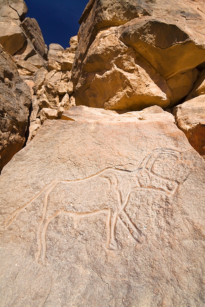 Stone engraving, Antelope, Wadi Mathendous, Wadi Barjuj, Stony Desert, Libya, Sahara, North Africa