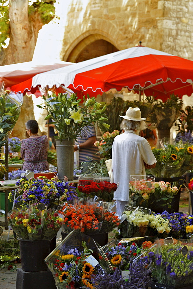 Flower stall at the market, Aix-en-Provence, Provence, France, Europe