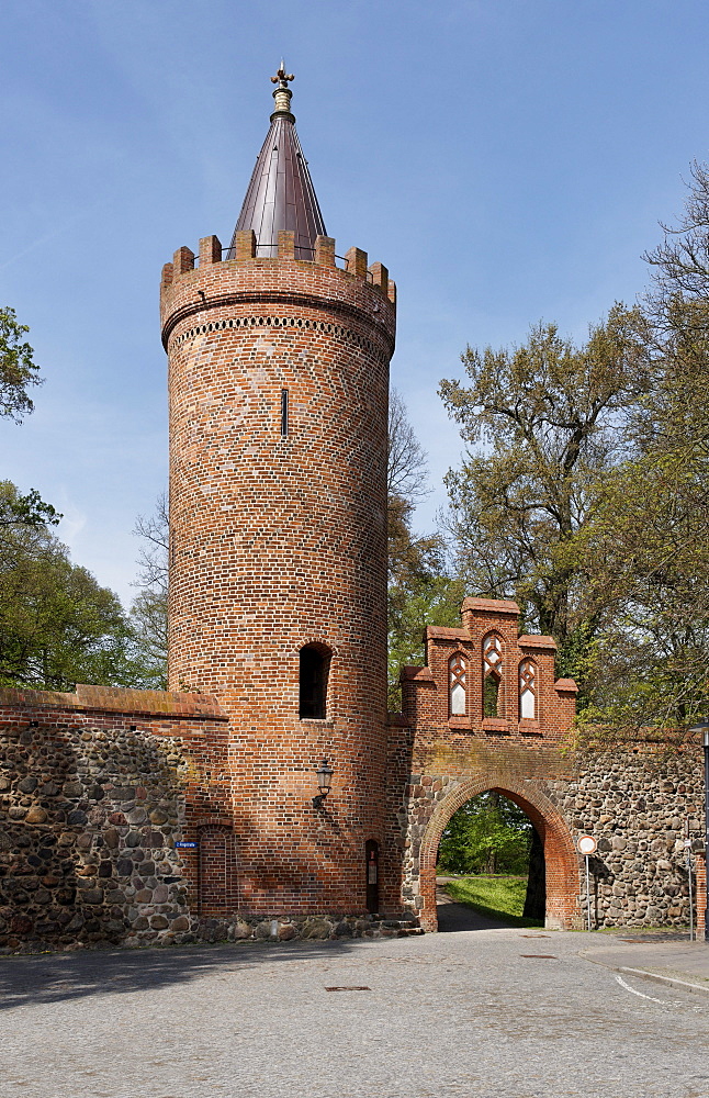 Fangelturm in Neubrandenburg, Mecklenburg Lake district, Mecklenburg-Western Pomerania, Germany