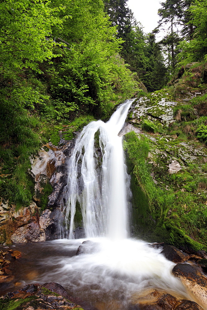 Allerheiligen waterfall amidst trees, Black Forest, Baden-Wuerttemberg, Germany, Europe