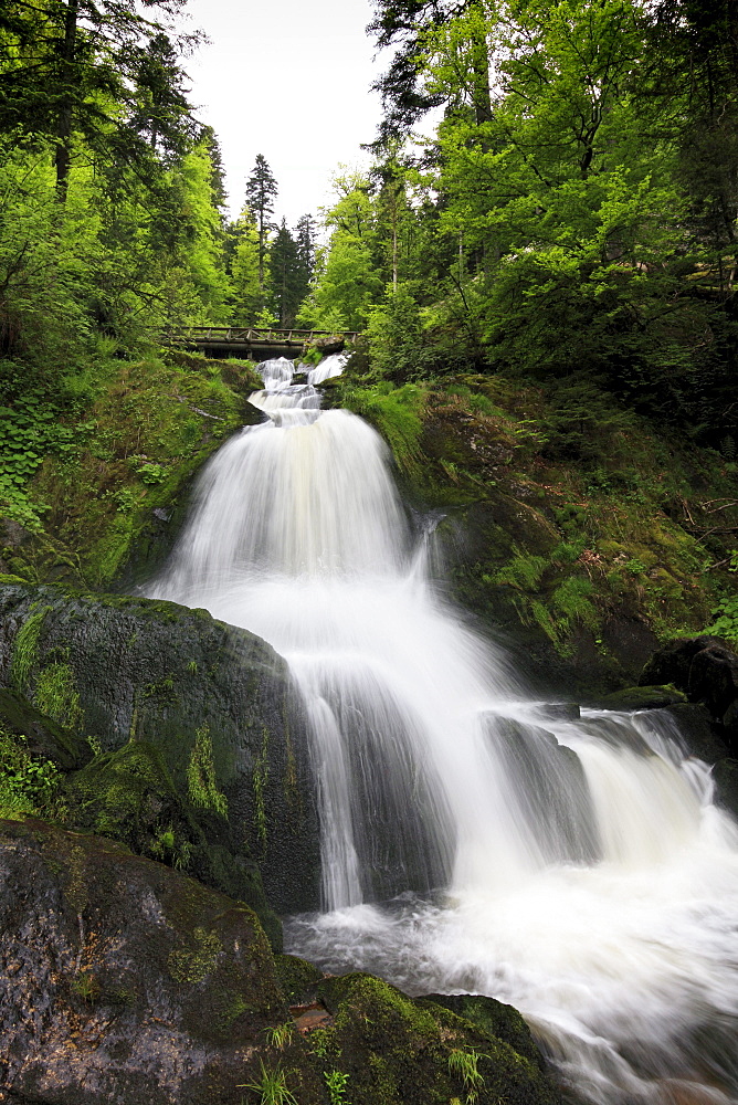 Lower cascade of Triberg waterfall, Triberg, Black Forest, Baden-Wuerttemberg, Germany, Europe