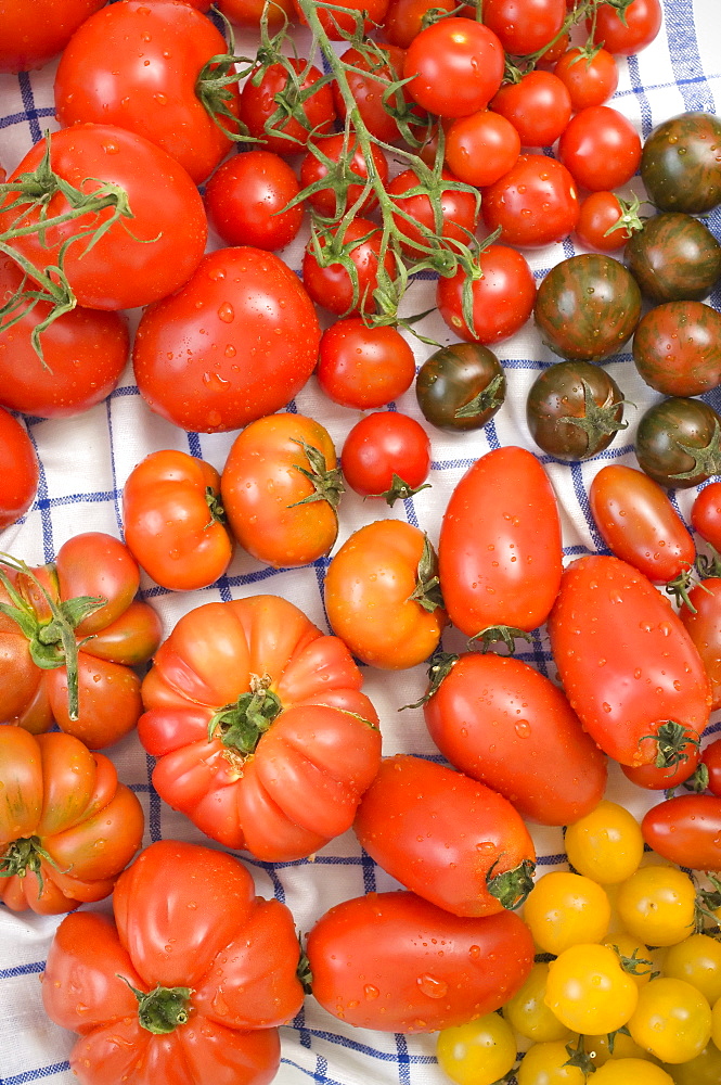 Different coloured tomatoes, Vegetables, Fruit, Healthy food