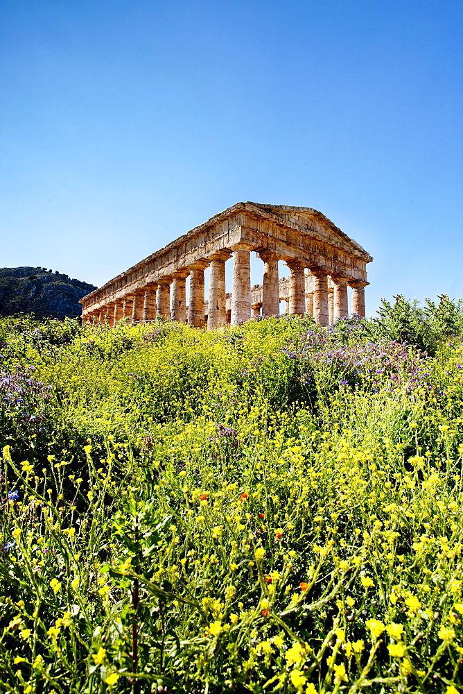 Temple, Segesta, Sicily, Italy