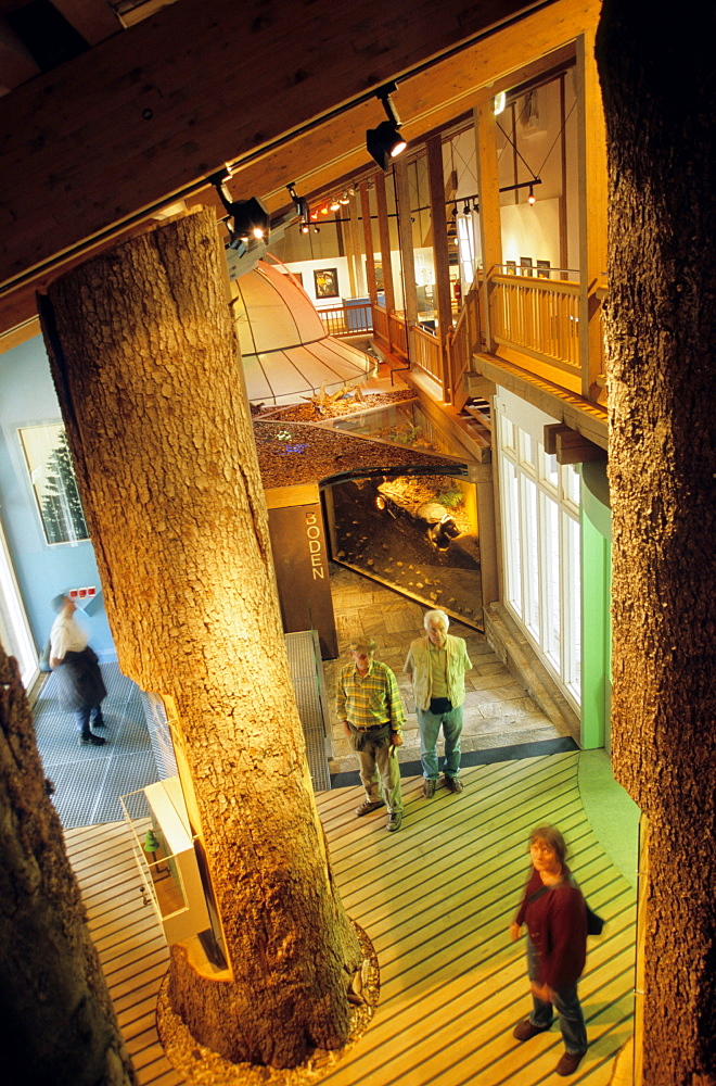 Museum Hans Eisermann House, Bavarian Forest National Park, Lowerbavaria, Bavaria, Germany