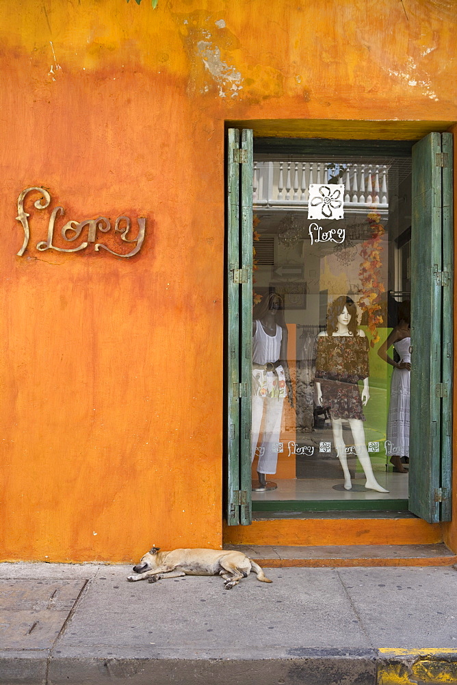 Sleeping dog outside fashion store, Cartagena, Bolivar, Colombia