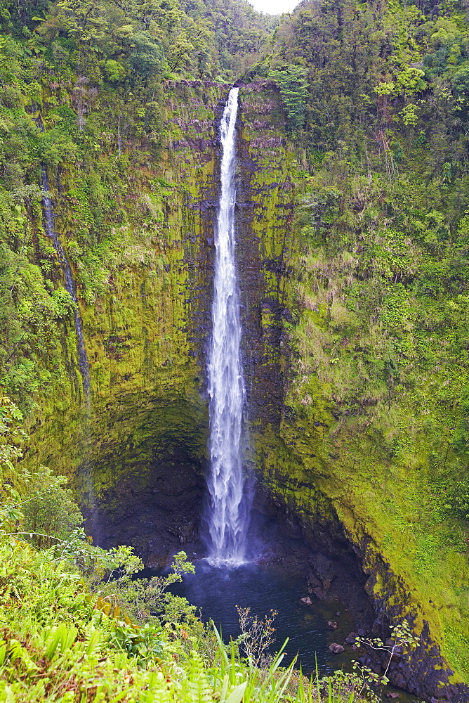 View at waterfall at Akaka Falls State Park, Big Island, Hawaii, USA, America