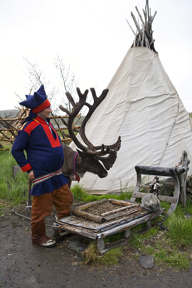 Sami Native Nils in Traditional Costume, near Honningsvag, Mageroya, Finnmark, Norway, Europe