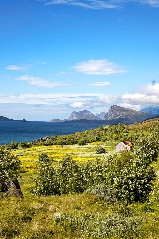 Nappstraumen, Vestvagoya island, Lofoten Islands, North Norway, Norway