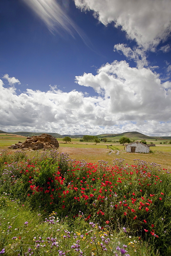 Landscape near Castrojeriz, Camino Frances, Way of St. James, Camino de Santiago, pilgrims way, UNESCO World Heritage, European Cultural Route, province of Burgos, Old Castile, Castile-Leon, Castilla y Leon, Northern Spain, Spain, Europe