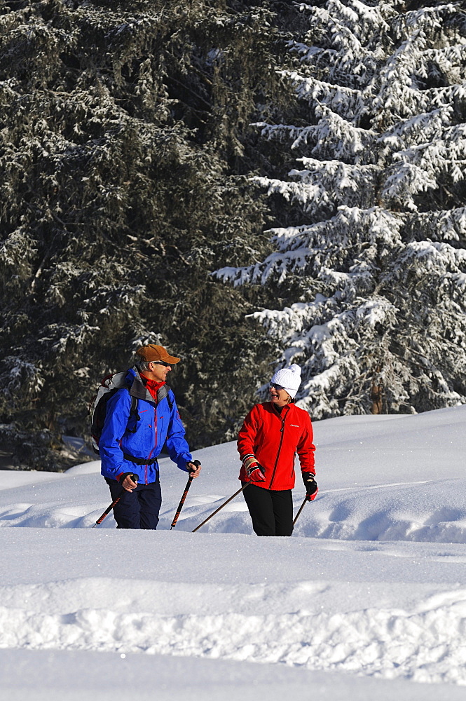 People hiking on winter hiking trail in snowy landscape, Hemmersuppenalm, Reit im Winkl, Chiemgau, Bavaria, Germany, Europe
