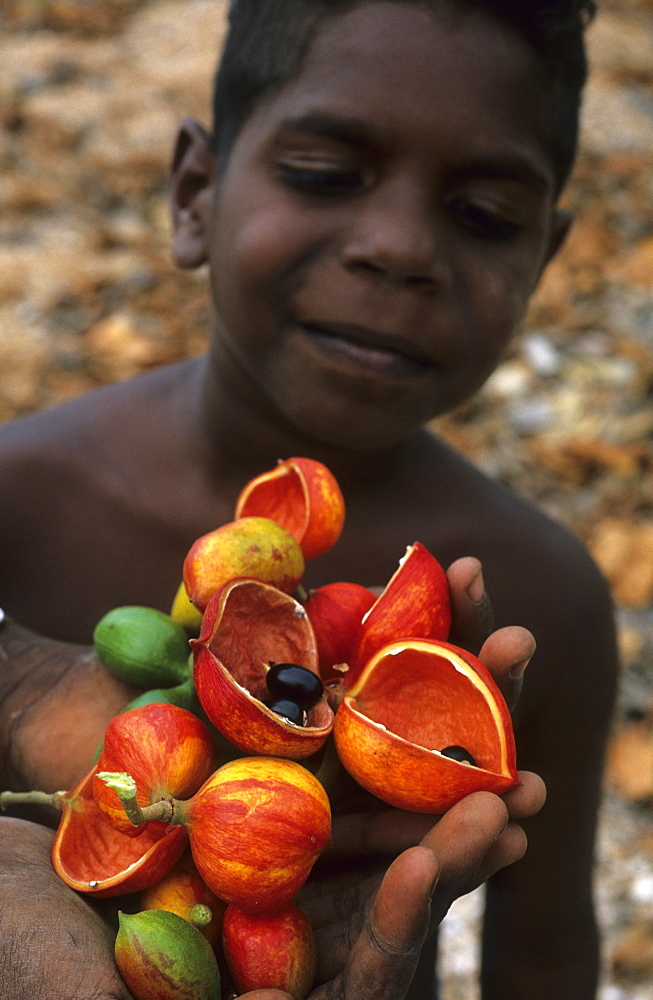 Aboriginal children with bush peanuts in Arnhem Land, Australia