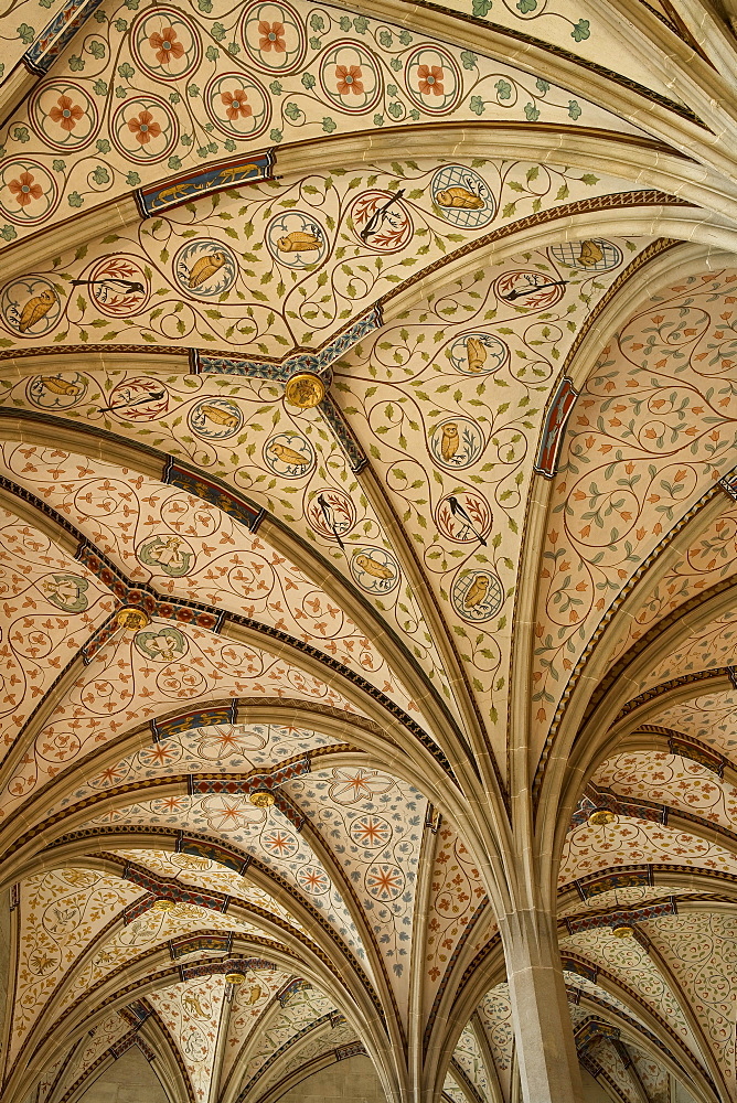 Arched roof of the refectory, Bebenhausen monastery, Bebenhausen, Tuebingen, Baden-Wuerttemberg, Germany, Europe