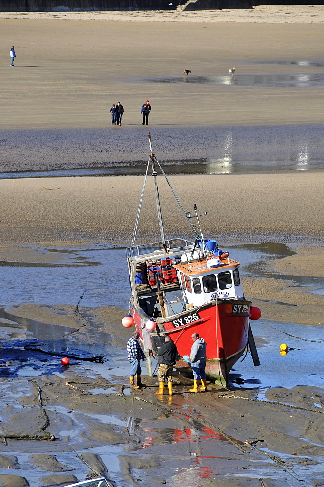 At Tenby harbour, Pembrokeshire, south-Wales, Wales, Great Britain