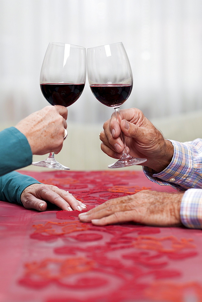 Hands of old people bringing a toast with red wine