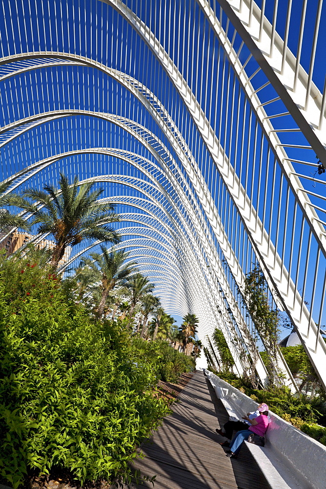 The Umbracle, landscaped walk with plant species indigenous to Valencia in Cuidad de las Artes y las Ciencias, City of Arts and Sciences, Santiago Calatrava (architect), Valencia, Spain