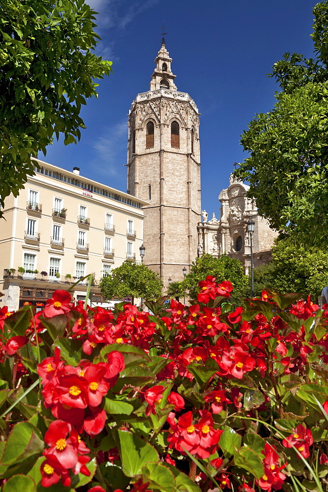 Valencia cathedral, Catedral de Santa MarÃŒa de Valencia, and the Plaza de la Reina, Plaza de la Virgen, Valencia, Spain