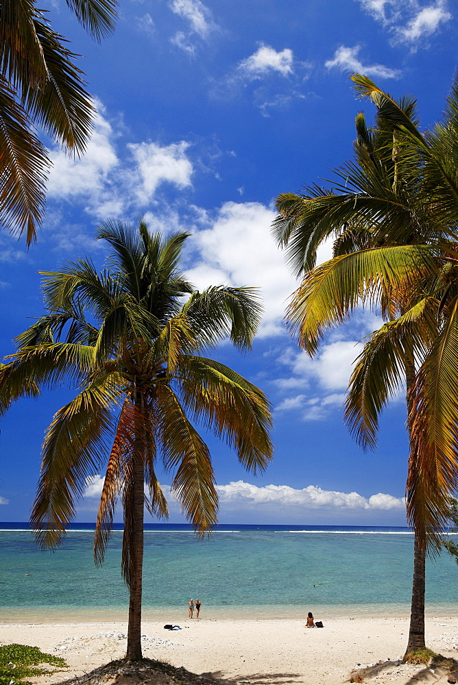 People and palm trees on the beach, Saint Gilles les Bains, La Reunion, Indian Ocean