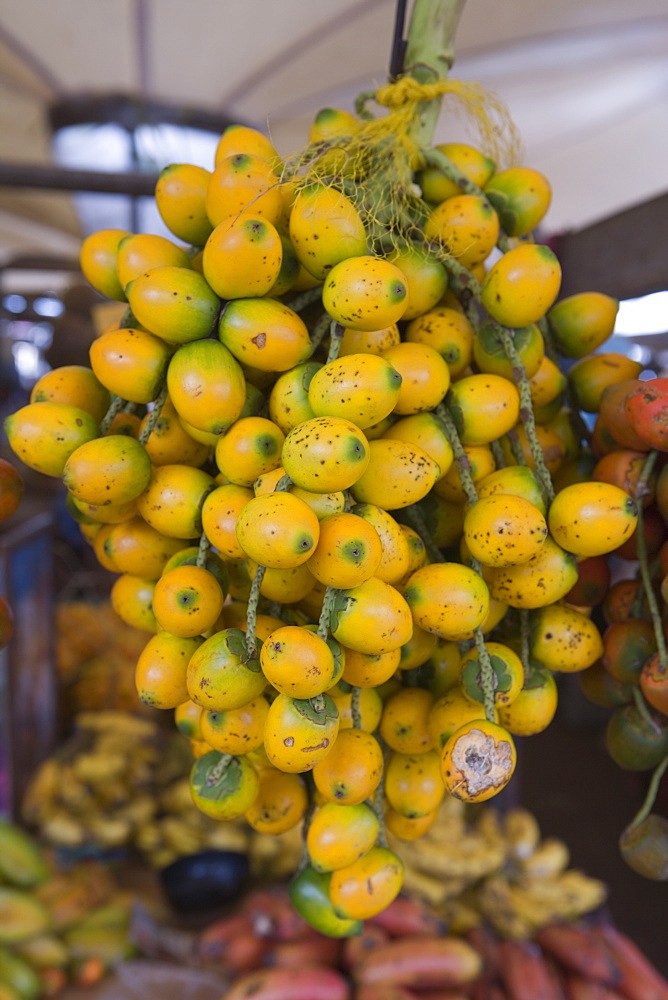 Pupunha Palm Fruit at the Ver O Peso Market, Belem, Para, Brazil, South America