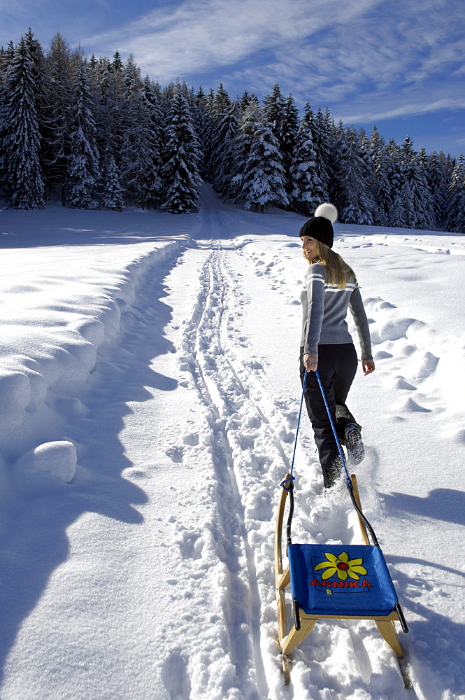 Young woman with sledge in snowy landscape, Alto Adige, South Tyrol, Italy, Europe