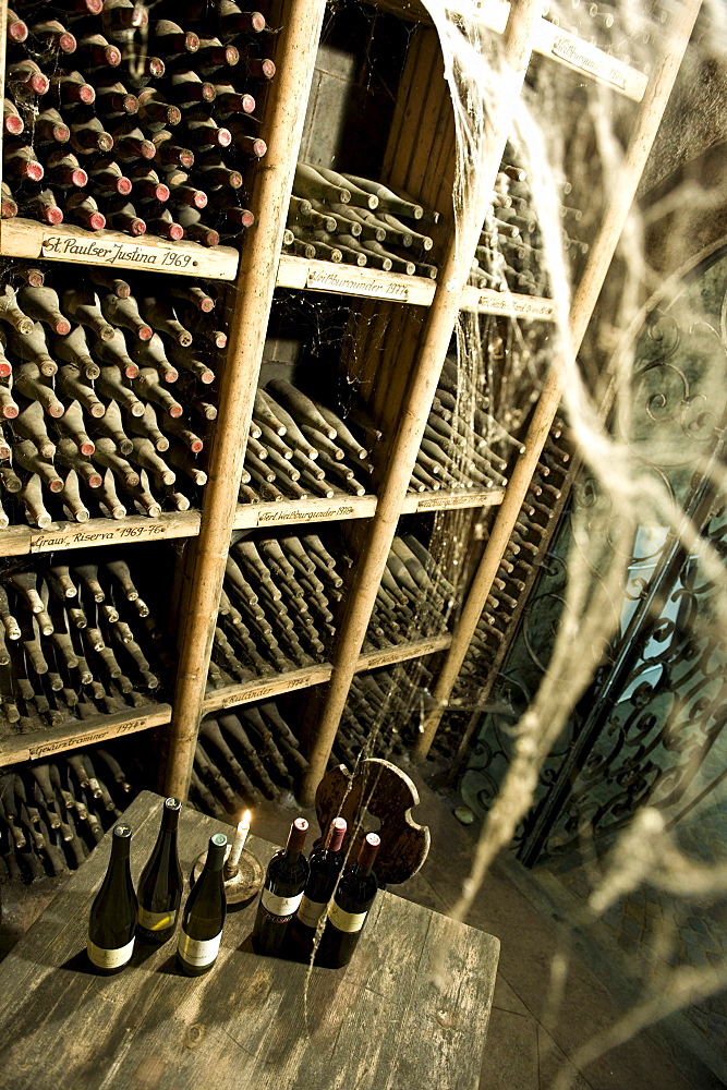 Dusty wine bottles at winery St. Pauls, Eppan an der Weinstrasse, Alto Adige, South Tyrol, Italy, Europe