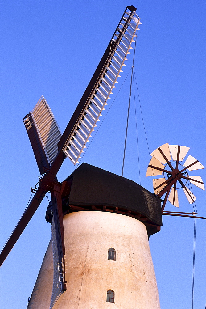 Dybbol Molle Windmill, Sonderborg, Southern Jutland, Denmark